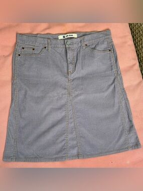 GAP Light purple corduroy Skirt